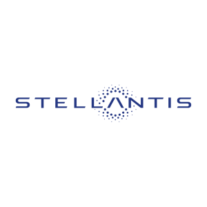 logo Stellnatis