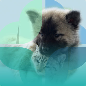 labo_mobile Image d'un chien avec un des logos laboratoire vétocanis